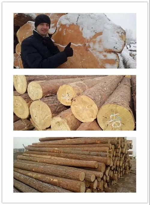 木材码头微访谈:从业9年的木材销售经理